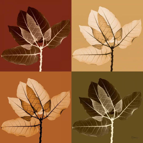 Harvest Leaves 1 Black Modern Wood Framed Art Print by Koetsier, Albert