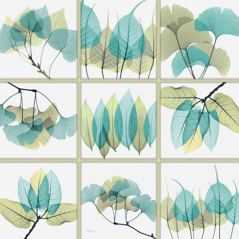 Citrus Leaves SC Gold Ornate Wood Framed Art Print with Double Matting by Koetsier, Albert