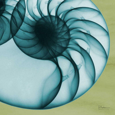 Neon Nautilus Gold Ornate Wood Framed Art Print with Double Matting by Koetsier, Albert