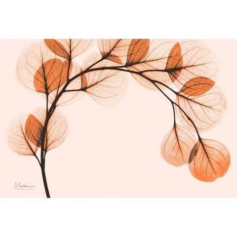 Orange Eucalyptus White Modern Wood Framed Art Print by Koetsier, Albert