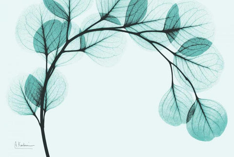 Teal Eucalyptus Black Ornate Wood Framed Art Print with Double Matting by Koetsier, Albert