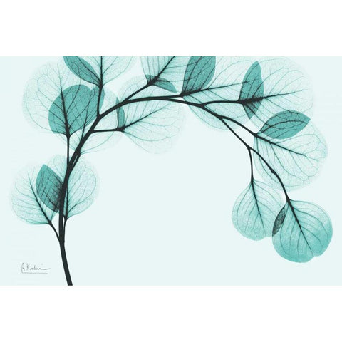 Teal Eucalyptus White Modern Wood Framed Art Print by Koetsier, Albert