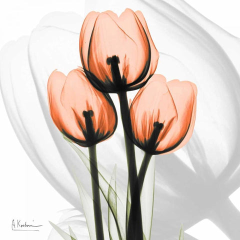 Orange tulips Gold Ornate Wood Framed Art Print with Double Matting by Koetsier, Albert