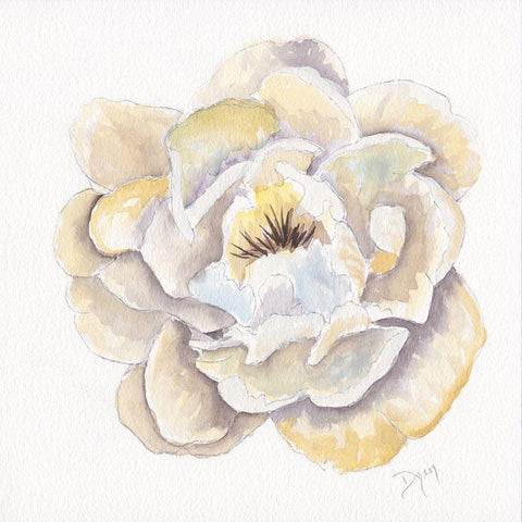 Backyard Peony II Gold Ornate Wood Framed Art Print with Double Matting by Dyer, Beverly