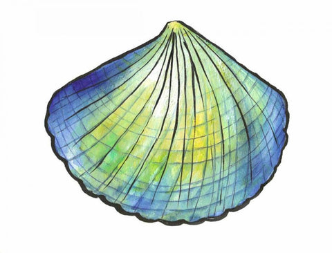 Underwater Shell 1 Black Ornate Wood Framed Art Print with Double Matting by Dyer, Beverly