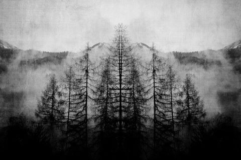 Trees and Clouds Black Ornate Wood Framed Art Print with Double Matting by Brown, Denise