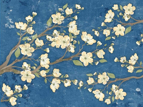 Cherry Blossoms Blue White Modern Wood Framed Art Print with Double Matting by Stimson, Diane