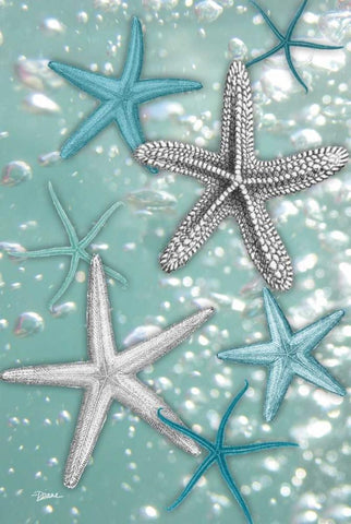Starfish Bubbles Black Ornate Wood Framed Art Print with Double Matting by Stimson, Diane