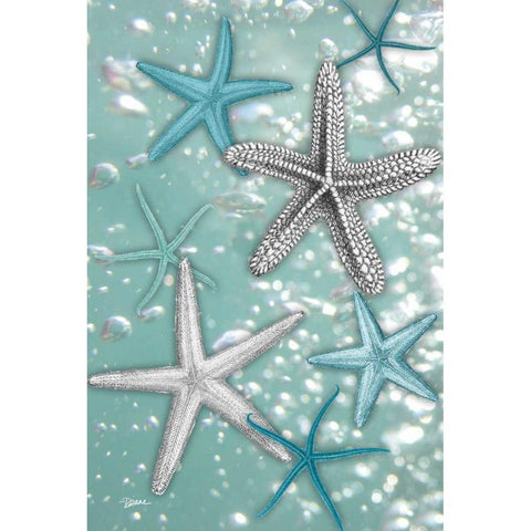 Starfish Bubbles Black Modern Wood Framed Art Print by Stimson, Diane