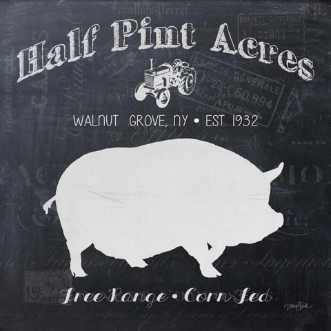 Chalkboard Sow White Modern Wood Framed Art Print with Double Matting by Stimson, Diane