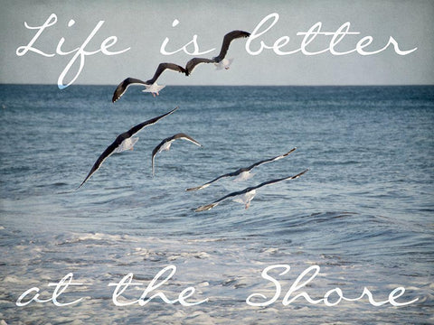 Shore Life White Modern Wood Framed Art Print with Double Matting by Urquhart, Elizabeth