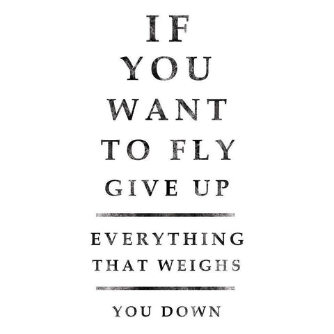 Industrial Fly Black Modern Wood Framed Art Print with Double Matting by Gibbons, Lauren