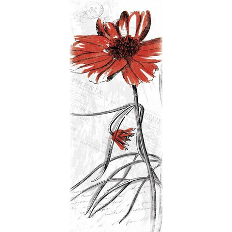 Red Flower White Modern Wood Framed Art Print by Grey, Jace