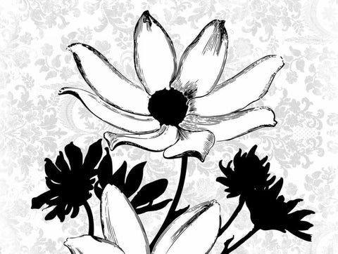 Simple Floral Black Ornate Wood Framed Art Print with Double Matting by Grey, Jace