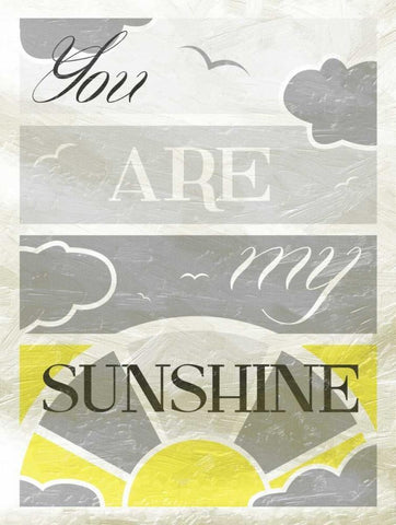 Sunshine White Modern Wood Framed Art Print with Double Matting by Grey, Jace