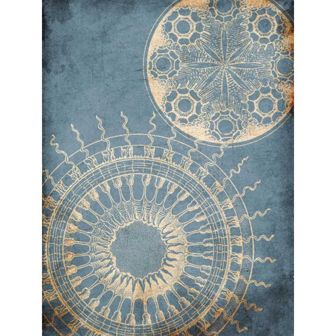 Coastal Patterns Gold Ornate Wood Framed Art Print with Double Matting by Grey, Jace