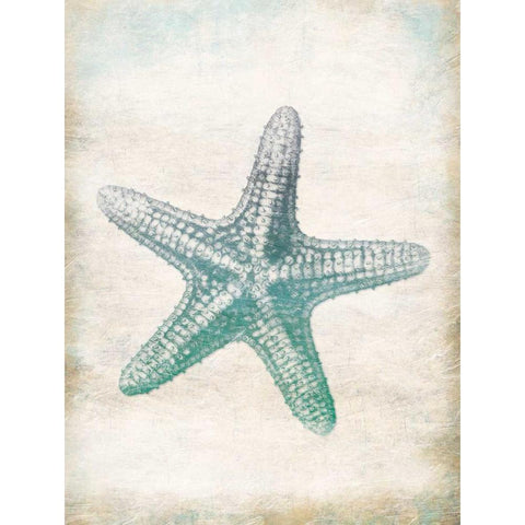Starfish Gold Ornate Wood Framed Art Print with Double Matting by Grey, Jace