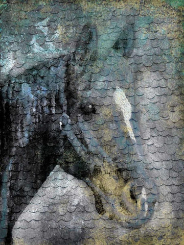 Blue Horse Scales Black Ornate Wood Framed Art Print with Double Matting by Grey, Jace