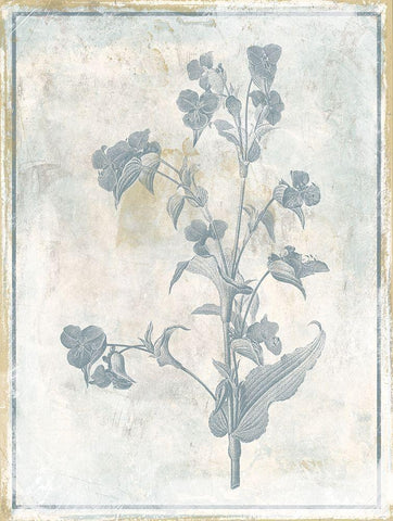 Sky Floral White Modern Wood Framed Art Print with Double Matting by Grey, Jace