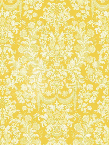 Sunny Wall Black Ornate Wood Framed Art Print with Double Matting by Grey, Jace