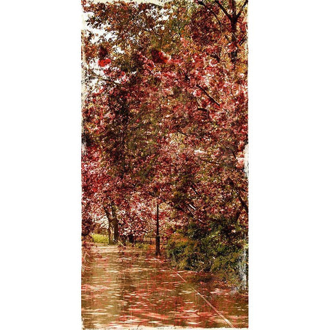 Ny Fall Trees Mate Gold Ornate Wood Framed Art Print with Double Matting by Grey, Jace