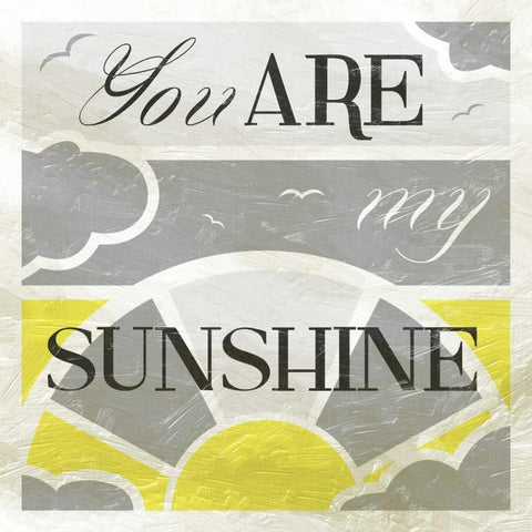 Sunshine White Modern Wood Framed Art Print with Double Matting by Grey, Jace