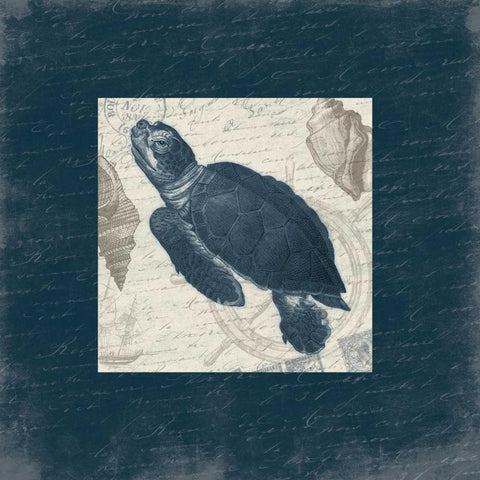Turtle Bordered Black Modern Wood Framed Art Print by Grey, Jace