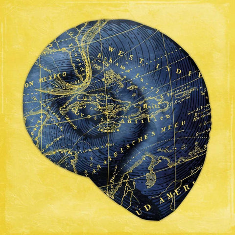 Map Shell 2 Y Indigo White Modern Wood Framed Art Print with Double Matting by Grey, Jace