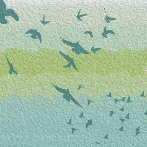 Coastal Birds Of Flight Black Modern Wood Framed Art Print with Double Matting by Grey, Jace