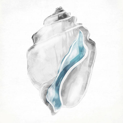 Soft Shell White Modern Wood Framed Art Print by Grey, Jace