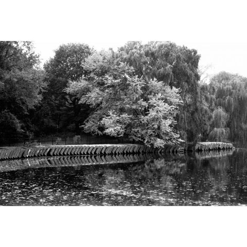 entral Park Feather H Black Modern Wood Framed Art Print with Double Matting by Grey, Jace
