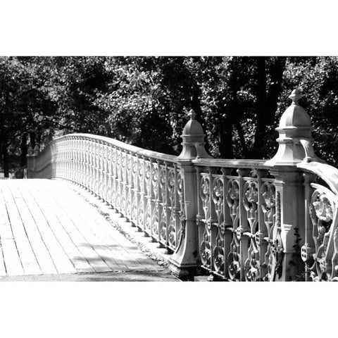 Central Park 1695 Black Modern Wood Framed Art Print with Double Matting by Grey, Jace