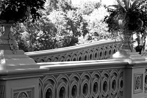 Central Park Bridge White Modern Wood Framed Art Print with Double Matting by Grey, Jace