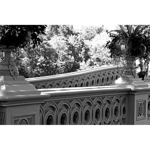 Central Park Bridge Black Modern Wood Framed Art Print with Double Matting by Grey, Jace