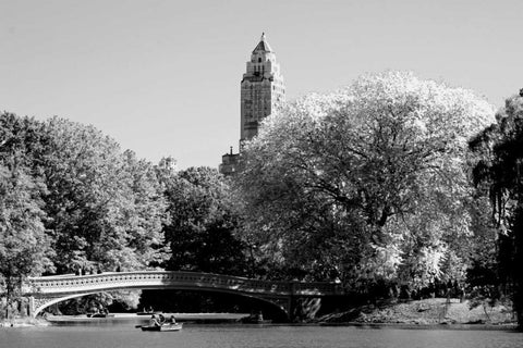 Circular Central Park Bridge White Modern Wood Framed Art Print with Double Matting by Grey, Jace