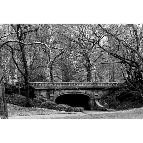 Central Park Bridge 2 Black Modern Wood Framed Art Print with Double Matting by Grey, Jace