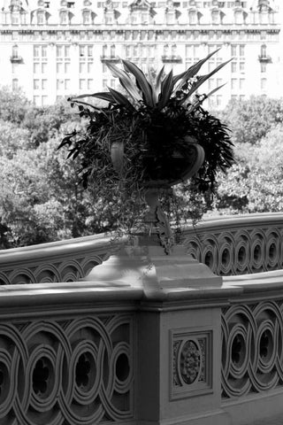 Central Park Bridge 5 Black Ornate Wood Framed Art Print with Double Matting by Grey, Jace