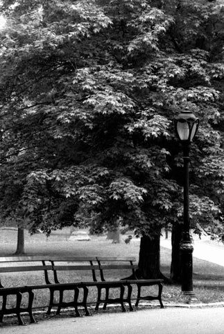 Central Park Benches Black Ornate Wood Framed Art Print with Double Matting by Grey, Jace