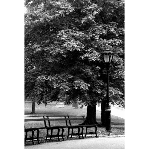 Central Park Benches White Modern Wood Framed Art Print by Grey, Jace