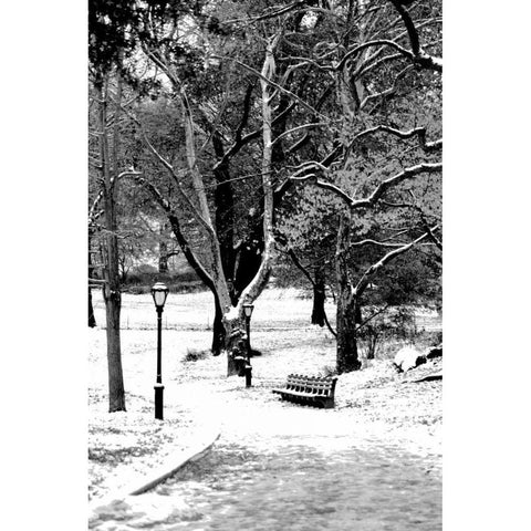 Central Park Snowy Scene Black Modern Wood Framed Art Print with Double Matting by Grey, Jace