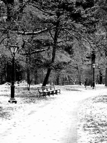 Central Park Snowy Scene 2 Black Ornate Wood Framed Art Print with Double Matting by Grey, Jace