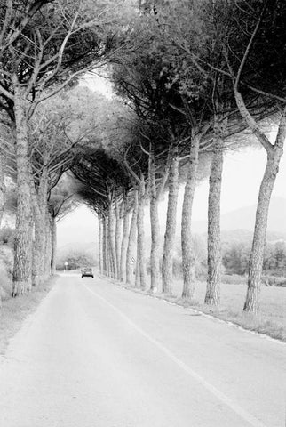 Italy 33 Black Ornate Wood Framed Art Print with Double Matting by Grey, Jace