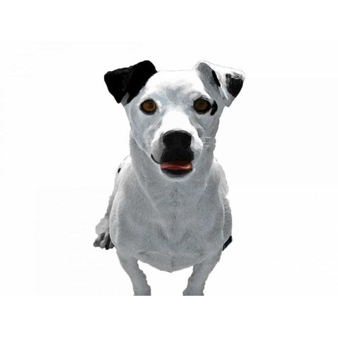 Jack Russell Buddy 3 Gold Ornate Wood Framed Art Print with Double Matting by Grey, Jace