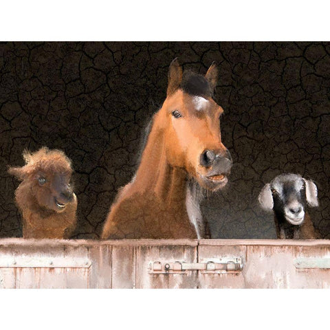 Smiles from the Barn White Modern Wood Framed Art Print by Kimberly, Allen