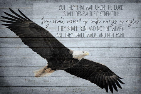 Wings as Eagles White Modern Wood Framed Art Print with Double Matting by Kimberly, Allen