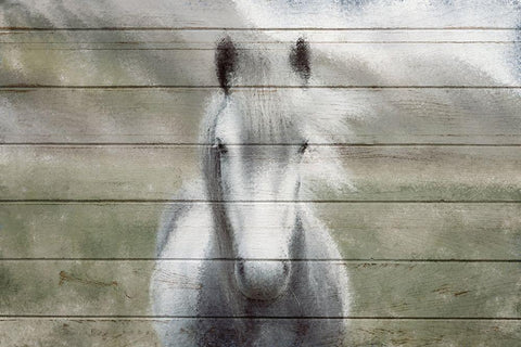 Wild White Modern Wood Framed Art Print with Double Matting by Kimberly, Allen