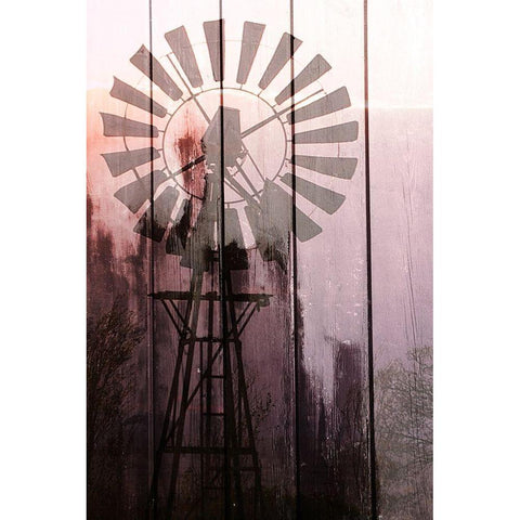 Windmill Sunset Gold Ornate Wood Framed Art Print with Double Matting by Kimberly, Allen