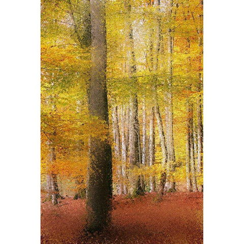 Golden Days White Modern Wood Framed Art Print by Kimberly, Allen