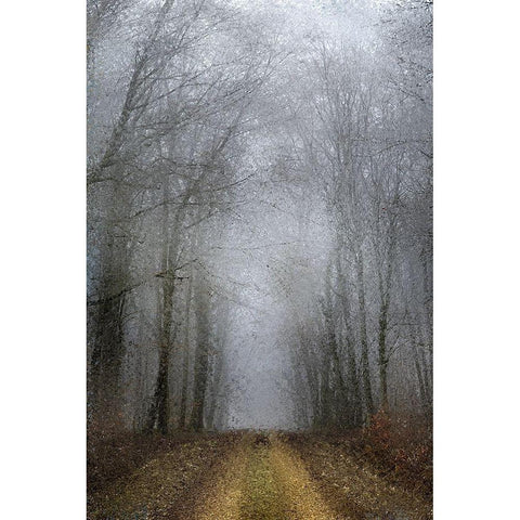 Road of Mysteries White Modern Wood Framed Art Print by Kimberly, Allen