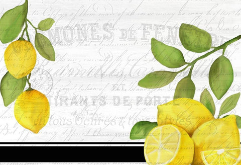 Fresh Lemons 7 White Modern Wood Framed Art Print with Double Matting by Kimberly, Allen